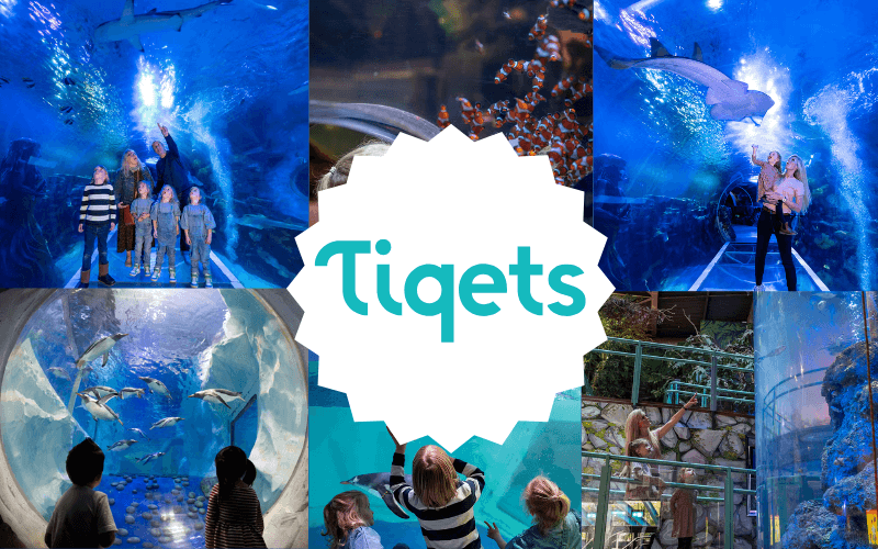 SEA LIFE Birmingham